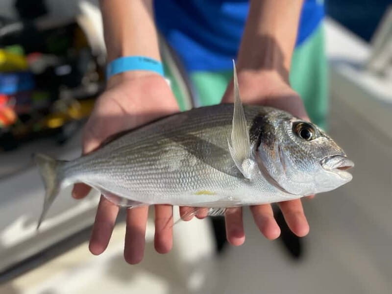 Salou: Hands-On Fishing Trip with Swimming at Sea - The Sum Up  