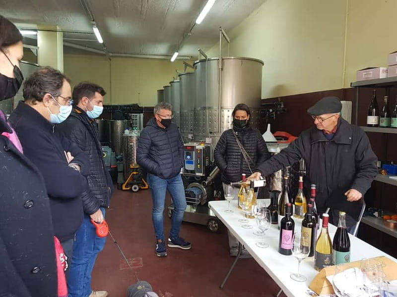 Salou: Priorat tasting Wine-Cellar Tour with hotel pickup - An In-Depth Look at the Tour Experience