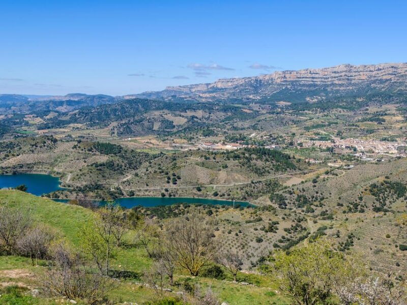 salou-siurana-castle-and-cornudella-winery-tour