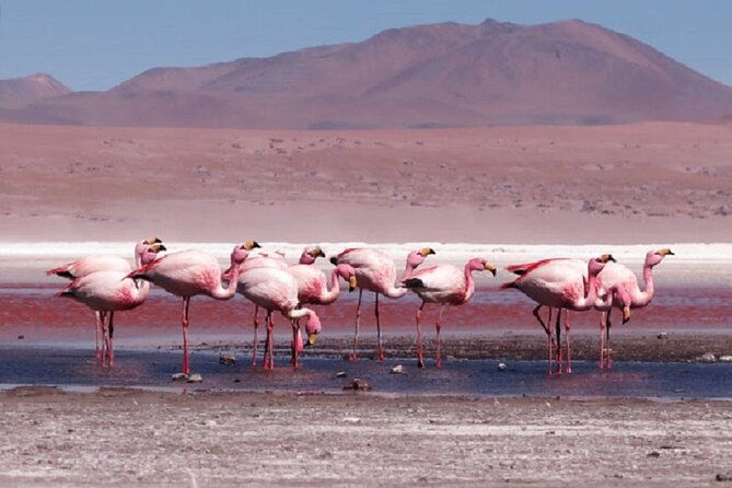 salt-flats-of-uyuni-in-3d-2n