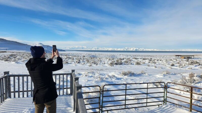 salt-lake-city-great-salt-lake-antelope-island-guided-tour