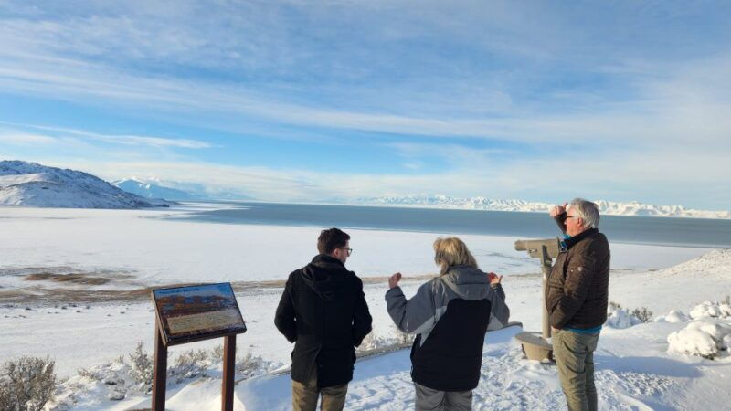 salt-lake-city-great-salt-lake-antelope-island-guided-tour