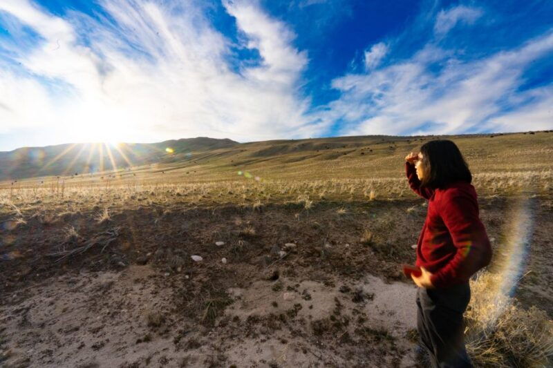 salt-lake-city-great-salt-lake-wildlife-sunset-experience