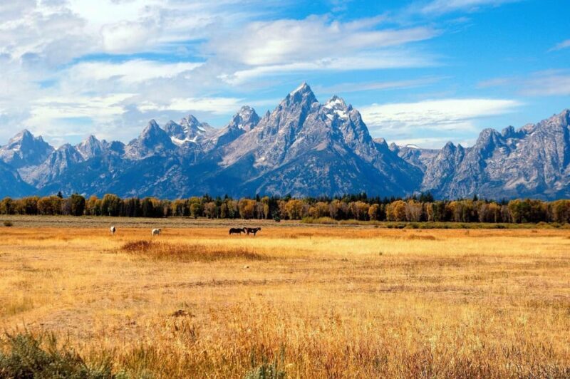 Salt Lake City: Yellowstone 4-day Tour with Airport Pickup - An In-Depth Look at the 4-Day Journey