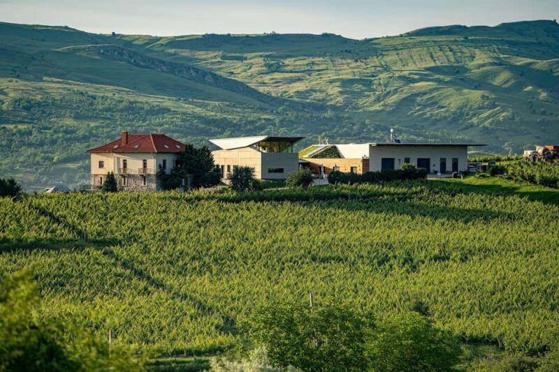 Salt Mine, Lunch at Winery & Dracula's Tomb - Small Group 7p - Key Points