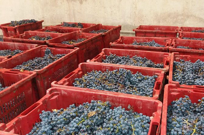 salt-mine-the-muddy-volcanoes-and-wine-tasting-private-day-tour-from-bucharest