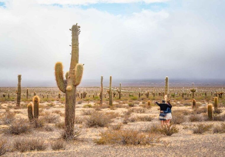 salta-calchaqui-valley-scenic-drive-and-day-trip-to-cachi-2