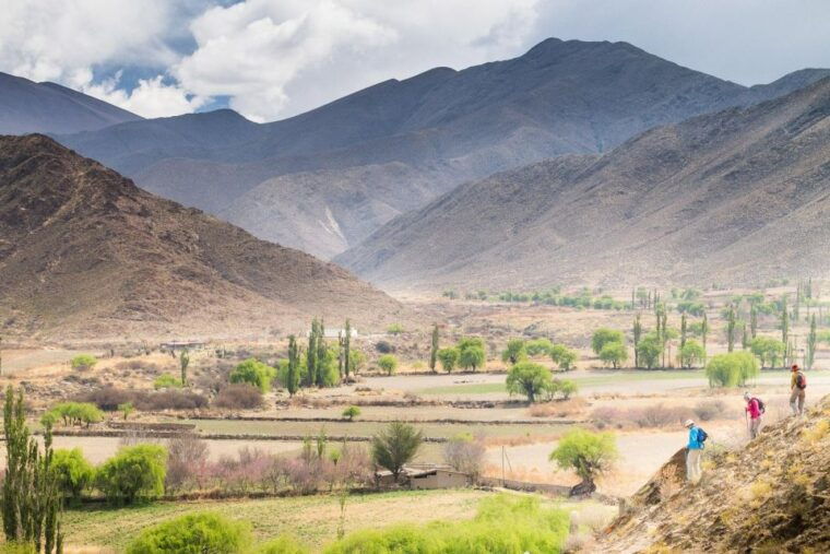 salta-calchaqui-valley-scenic-drive-and-day-trip-to-cachi-2