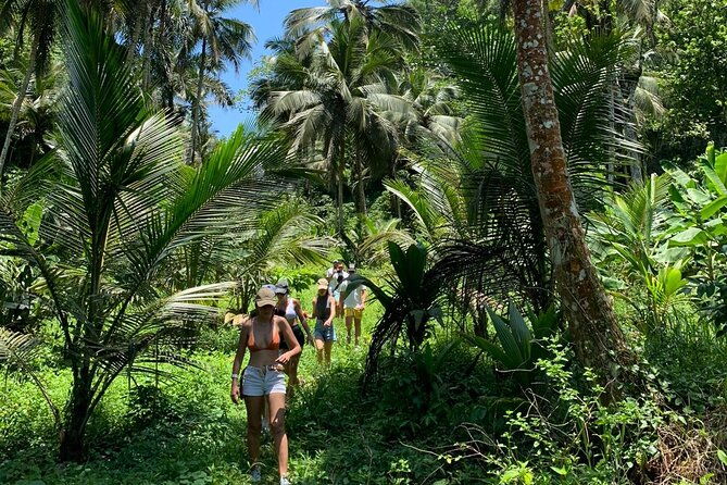 salto-de-la-jalda-leaping-la-jalda-hiking-or-horse-riding-by-rain-forest
