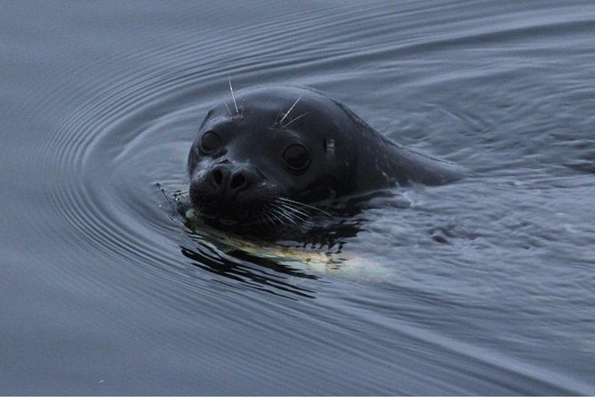 saltwater-expedition-sightseeing-wildlife-6-passenger-boat