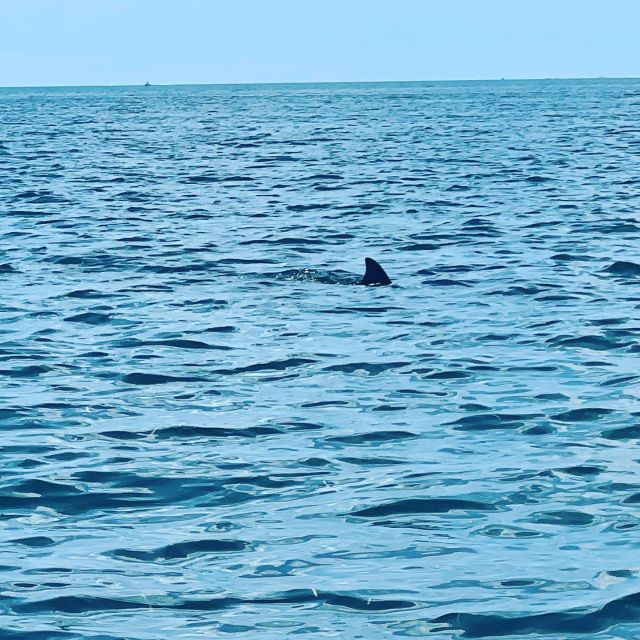 salty-turtle-adventure-charter