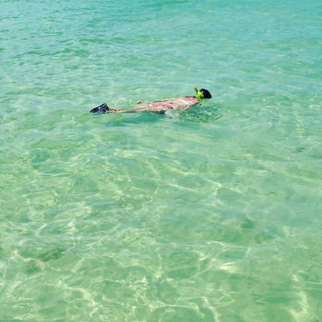 salty-turtle-adventure-charter