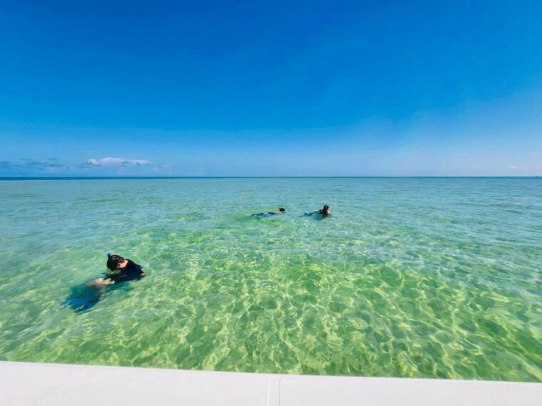 salty-turtle-adventure-charter