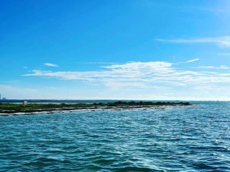 salty-turtle-adventure-charter