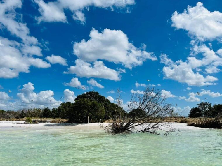 salty-turtle-adventure-charter