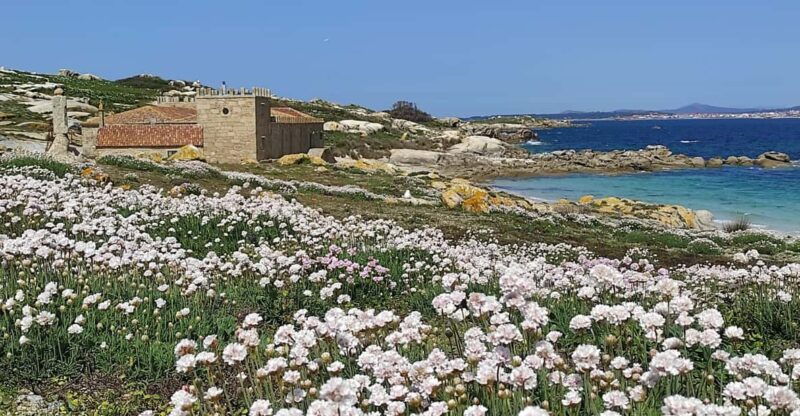 salvora-island-tour-with-mussel-tasting