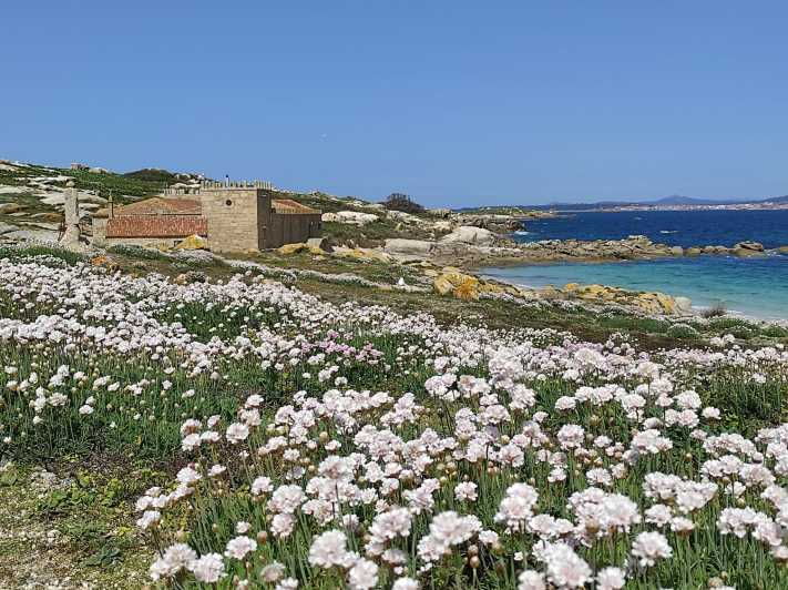 salvora-island-tour-with-mussel-tasting