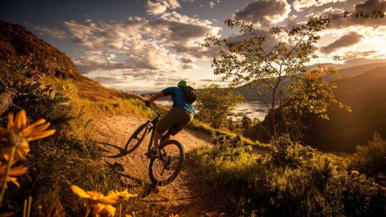 salzburg-city-and-countryside-mountain-bike-tour