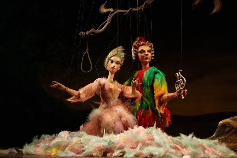 salzburg-the-magic-flute-at-marionette-theater-ticket