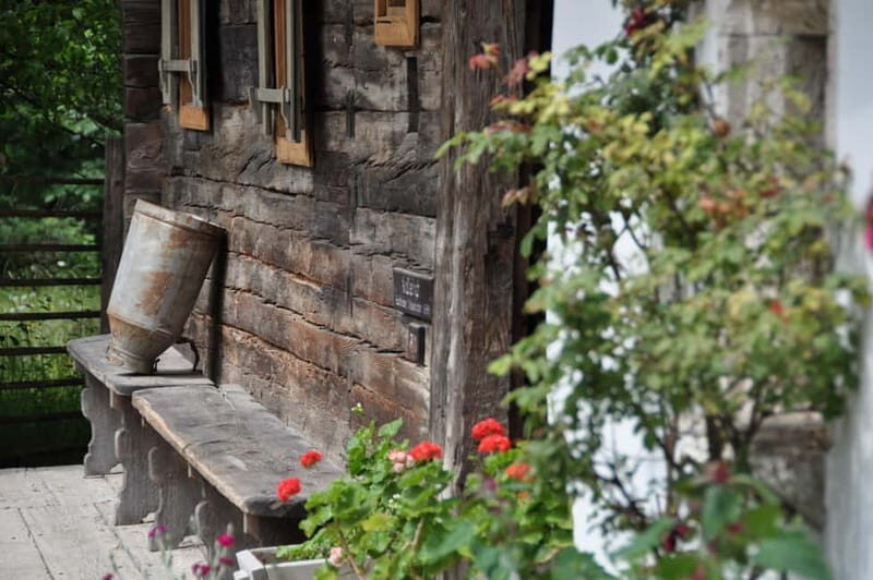 Salzburger Freilichtmuseum: A Journey Through Time - Culinary Delights at the "Salettl"