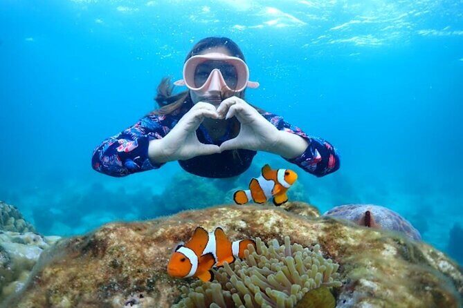 Samaesan Island Private Speedboat and Snorkeling Tour - Key Points