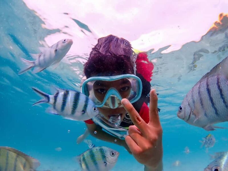 Samaesarn : Finding Nemo Snorkeling Tour Private speedboat - Key Points: