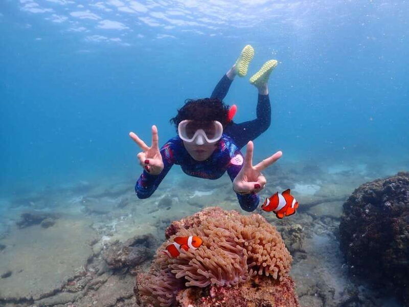 samaesarn-finding-nemo-snorkeling-tour-private-speedboat