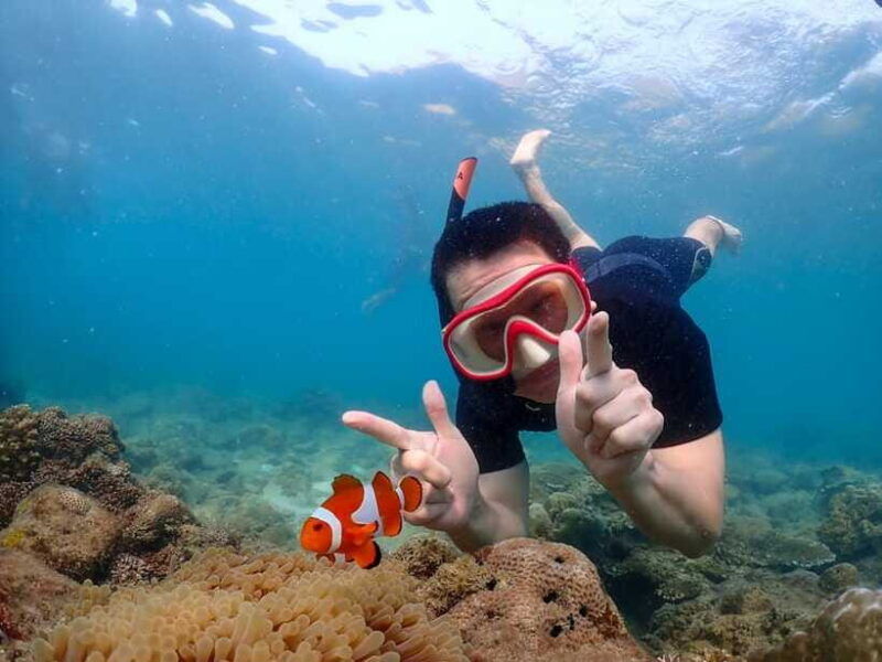 samaesarn-finding-nemo-snorkeling-tour-private-speedboat