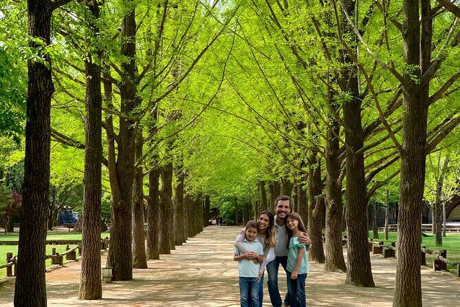 Samaksan Cable Car and Nami Island Day Escape with Railbike - Final Thoughts: Who Will Love This Tour?