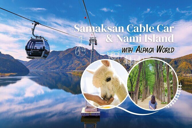 Samaksan Cable Car &Nami Island with Alpaca - Key Points
