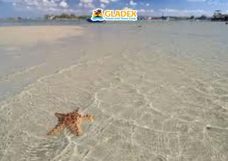 Samal Island: Island Hopping Tour - Who Is This Tour Best For?