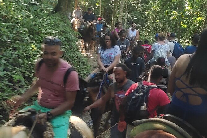 samana-full-day-baracardi-island-horses-lemon-waterfall