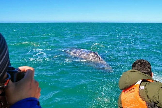 samana-whale-watching-cayo-levantado-bacardi-island-with-lunch-by-locals