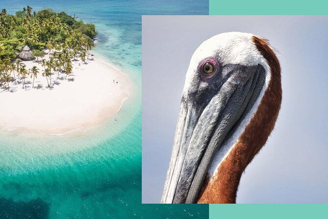 samana-whale-watching-cayo-levantado-bacardi-island-with-lunch-by-locals