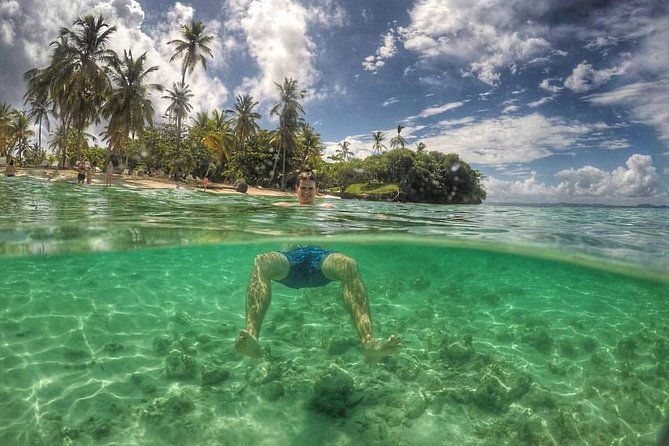 samana-whale-watching-plus-cayo-levantado-bacardi-island