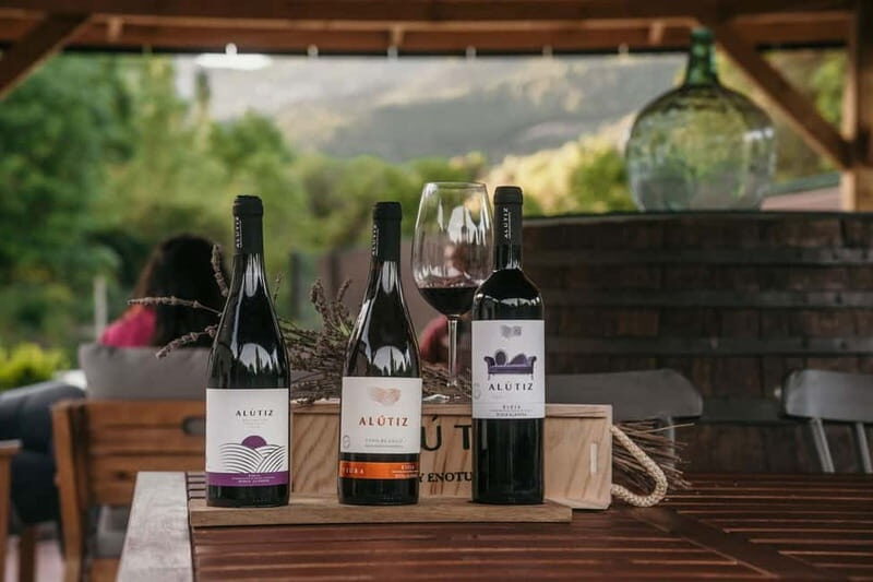Samaniego: Visit the 3 Alútiz Wineries and taste their wines - Key Points  