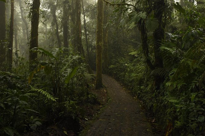 samara-to-from-monteverde-private-shuttle-1-8-px