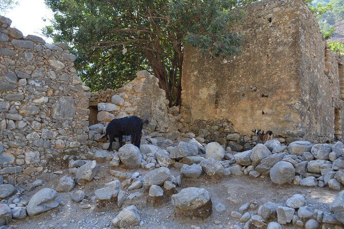 samaria-gorge-from-chania