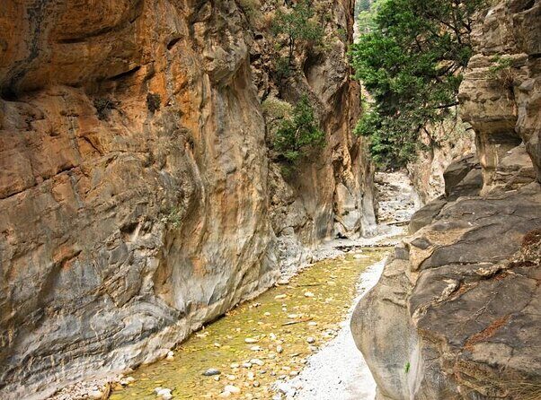 Samaria Gorge Hiking from Chania with proffesional hiking guide - FAQ: Your Practical Questions Answered