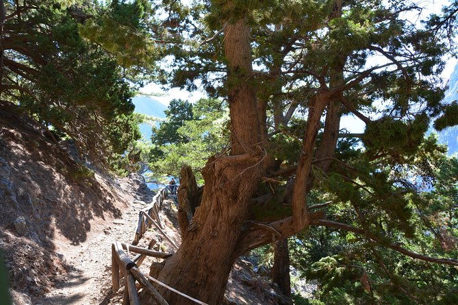 samaria-gorge-one-of-the-most-important-in-europe-from-rethymnon