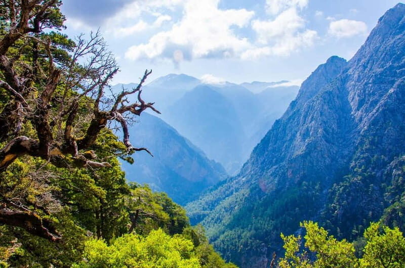 Samaria Gorge : Private Full-Day Guided Experience - Exploring the Samaria Gorge Guided Tour
