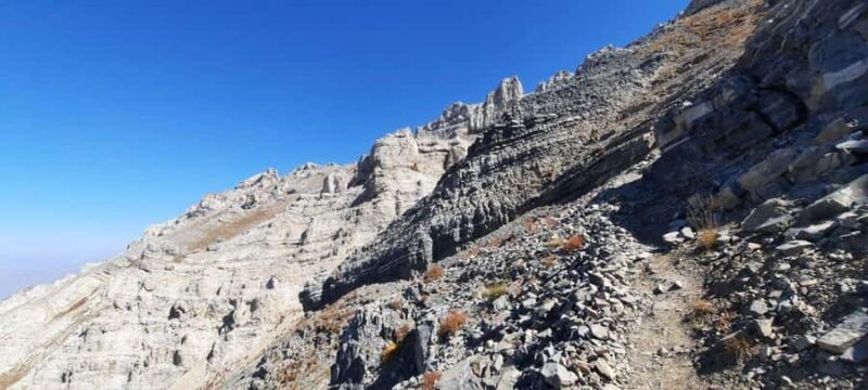 Samarkand: Horseback Riding Tour with Pickup and Drop-off - The Practical Side: Pricing, Group Size, and Booking