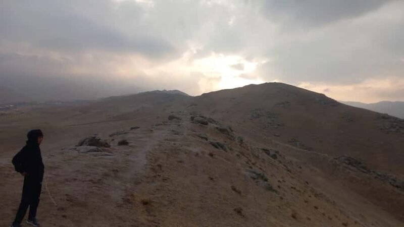 Samarkand: Horseback Riding Tour with Pickup and Drop-off - Who Might Want to Consider Alternatives