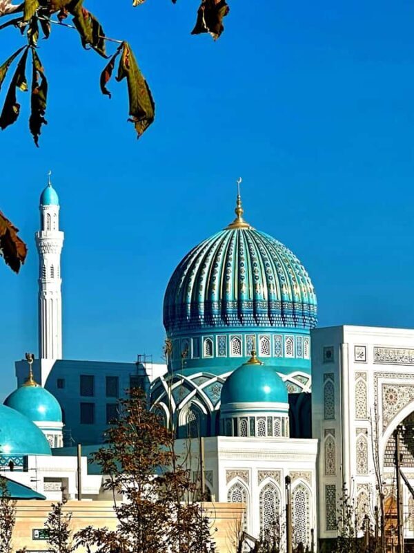 Samarkand: Imam Al-Bukhari, Mausoleum & Observatory Tour - Who Will Enjoy This Tour?