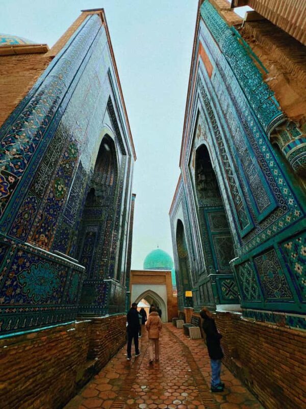 Samarkand One-Day Historical Heritage Tour with Guide - Panoramic Views and Sacred Sites