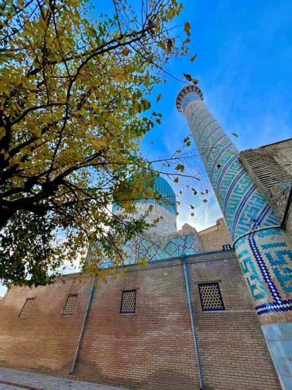 Samarkand One-Day Historical Heritage Tour with Guide - Practical Details and Value