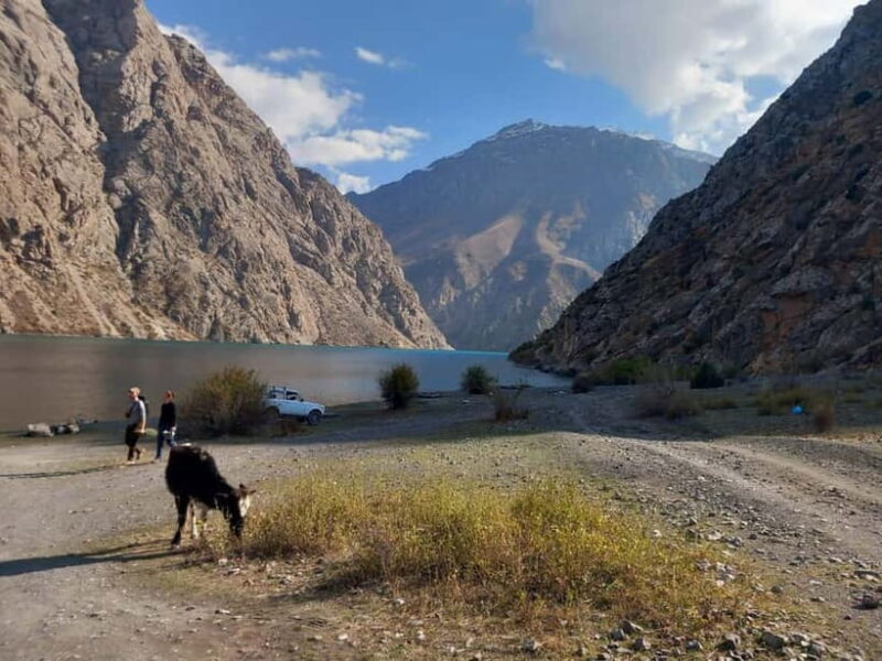 Samarkand: Seven Lakes of the Fann Mountains Day Trip - An In-Depth Look at the Tour Experience
