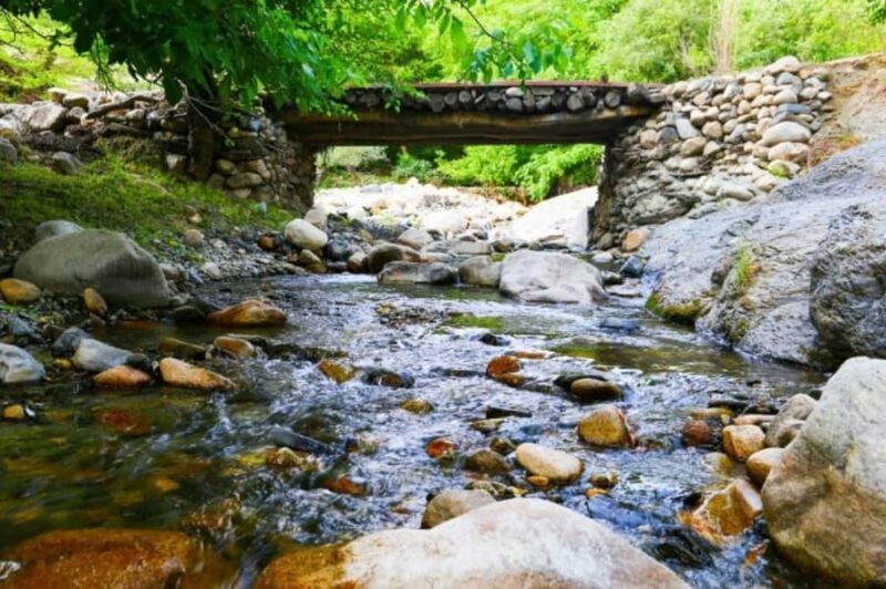 Samarkand: Tandoor Bread & Somsa Cooking +Countryside Picnic - Who Will Love This Tour?