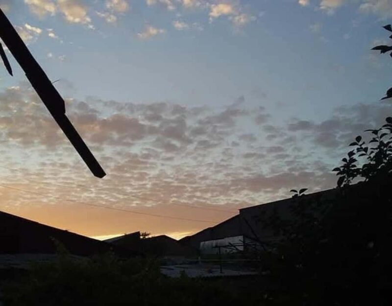 Samarkand to Timur's Legacy Shakhrisabz & Miraki Recreation - Key Points