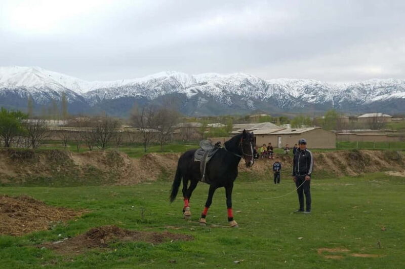 Samarkand: Uloq-Kopkari (Buzkashi) Game Day Tour - Key Points